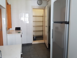 The Levelz (D10), Condominium #216837501